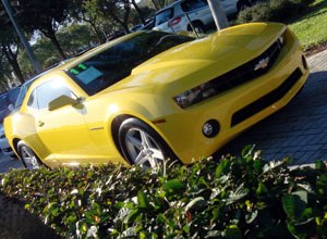 used camaro