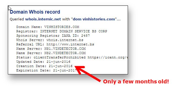 Domain name lookup shows this site is only a few months old